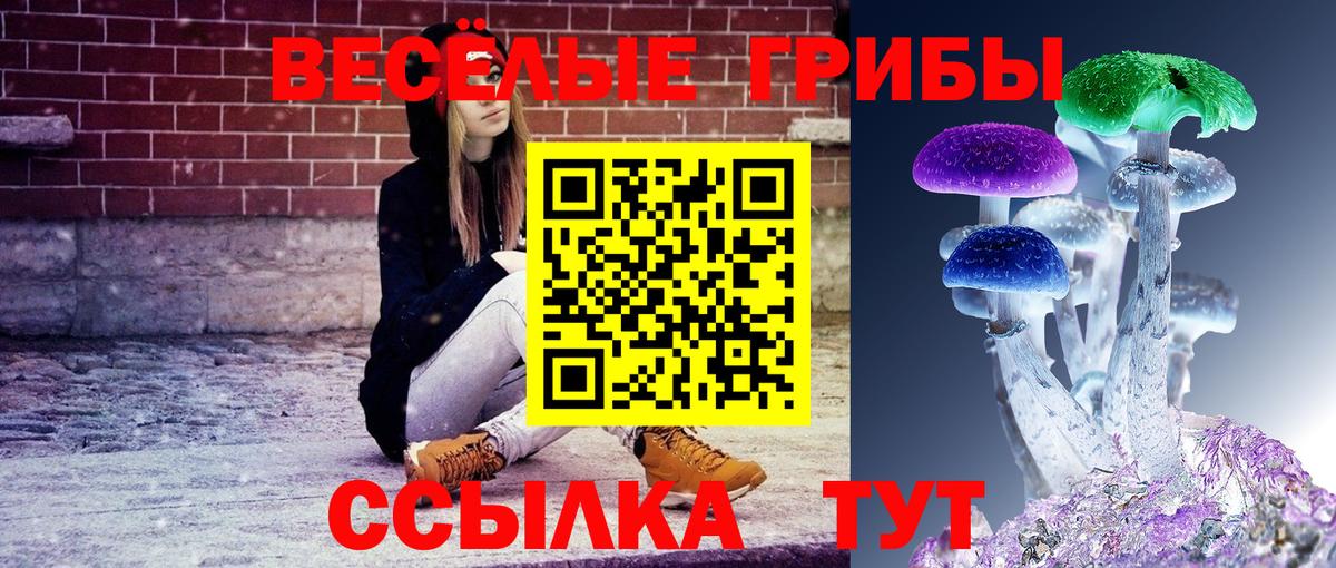 Галлюциногенные грибы ЛСД  Вход с VPN  Нефтекамск  Псилоцибиновые грибы мицелий 